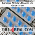 Kamagra 100Mg Utilisation De Gelée Orale 23